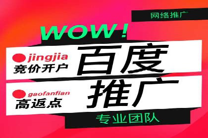 某行业巨头如何利用百度推广获客